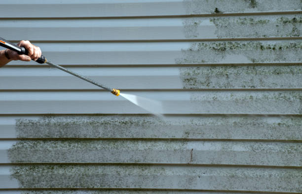 Animal Enclosure Cleaning in Swepsonville, NC